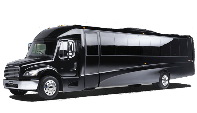 Luxury Mini Bus